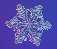 SNOWFLAKE_libbrecht_d0123a086B