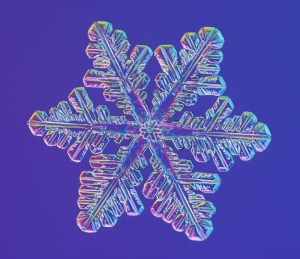 SNOWFLAKE_libbrecht_d0123a086B